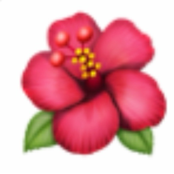 Unlisted Live Show Items - Picture 6 of 6